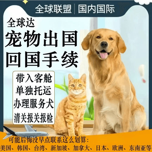 临夏州宠物托运到柬埔寨宠物入境规定和要求