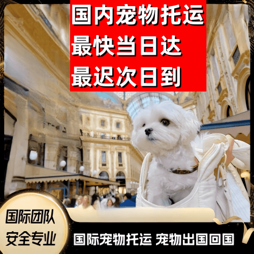 临夏州到澳大利亚（澳洲）宠物入境规定和要求